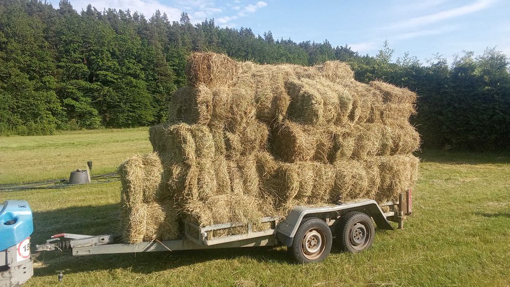 siano w kostkach 60 kostek transport