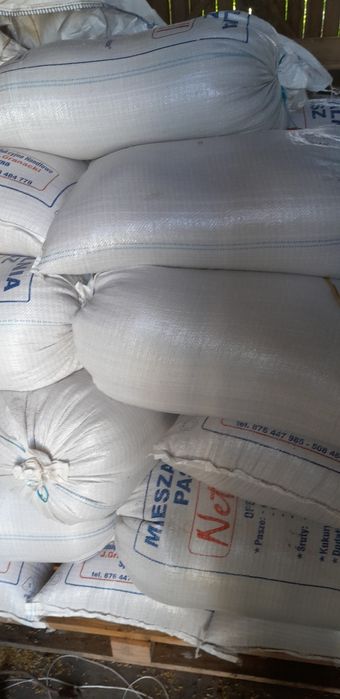 Ziarna zbóż. Pszenica, pszenżyto, jęczmień, mieszanka