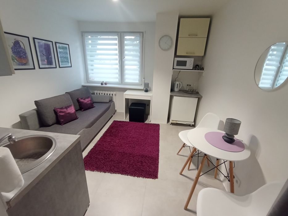 Mieszkanie w bloku- wyremontowane i wyposażone. Zgierz, Cezaka 3.