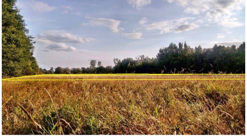 Słowiński Park Narodowy - rolna 3001 m2,  ściana lasu, widok na wydmy