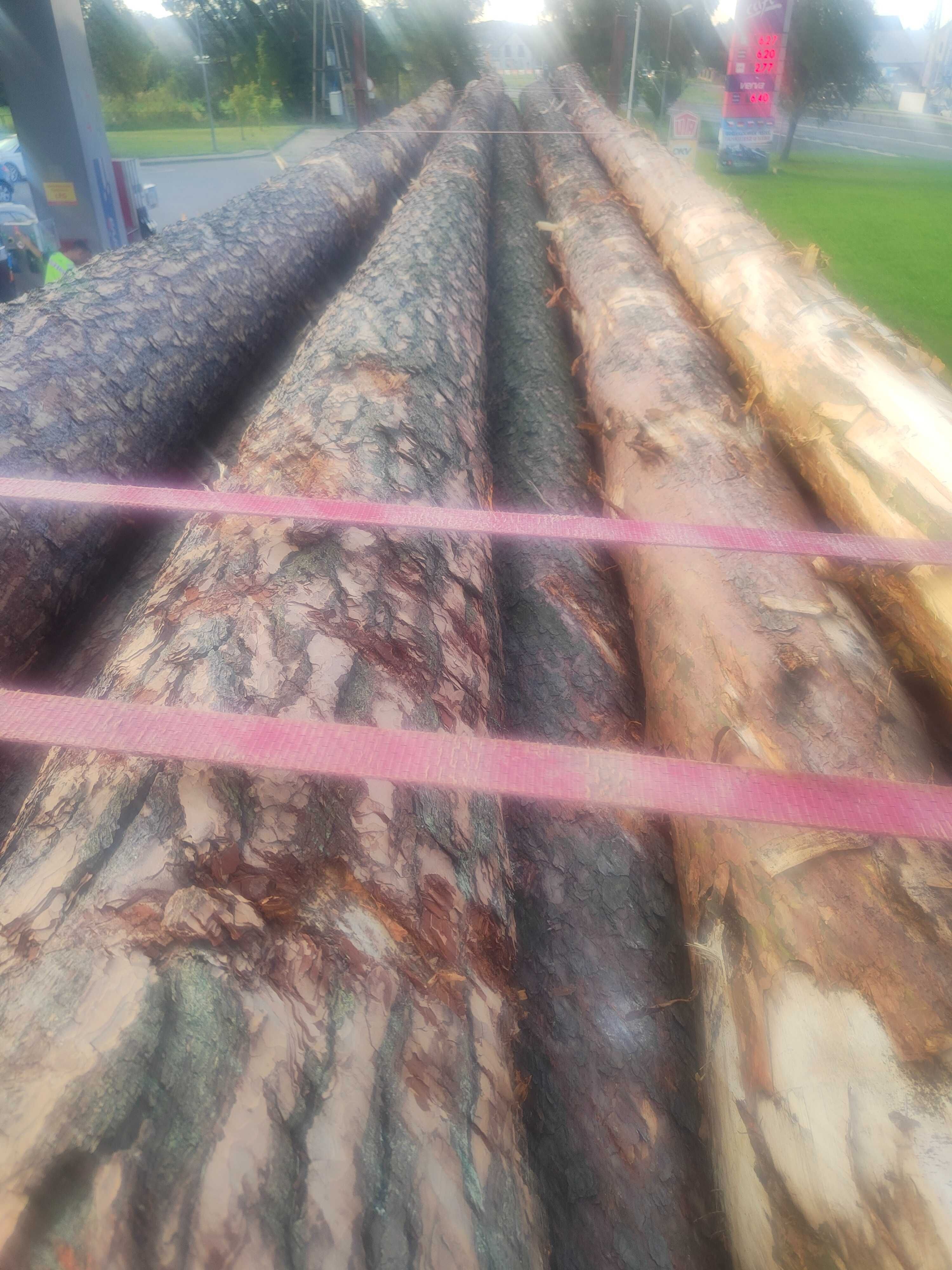 Drewno tartaczne sosna 8/12 m od 25 cm