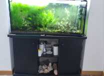 Aquario de 240Litros