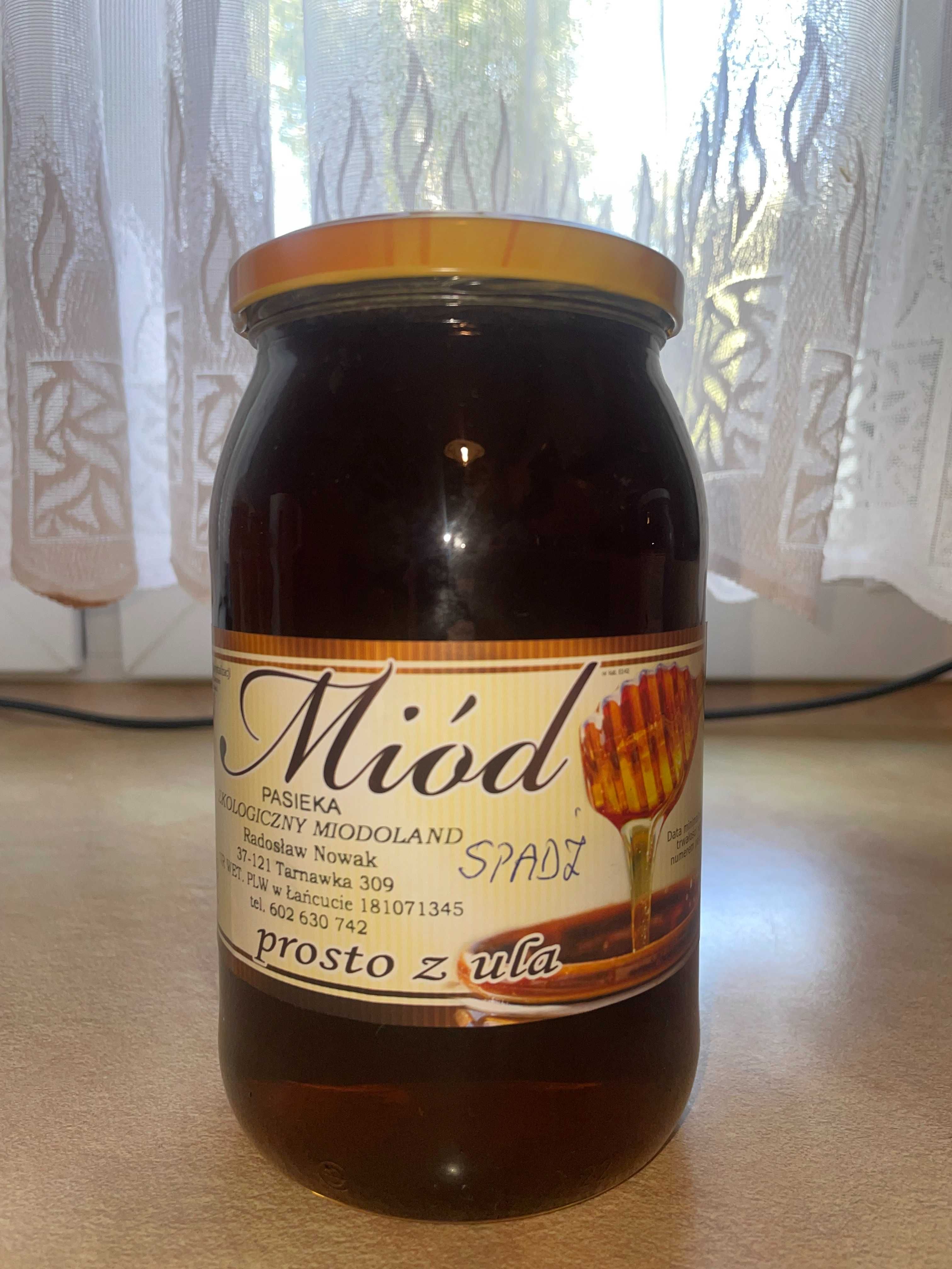 Sprzedam miód z ekologicznej pasieki.