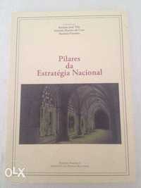 Pilares da estratégia nacional