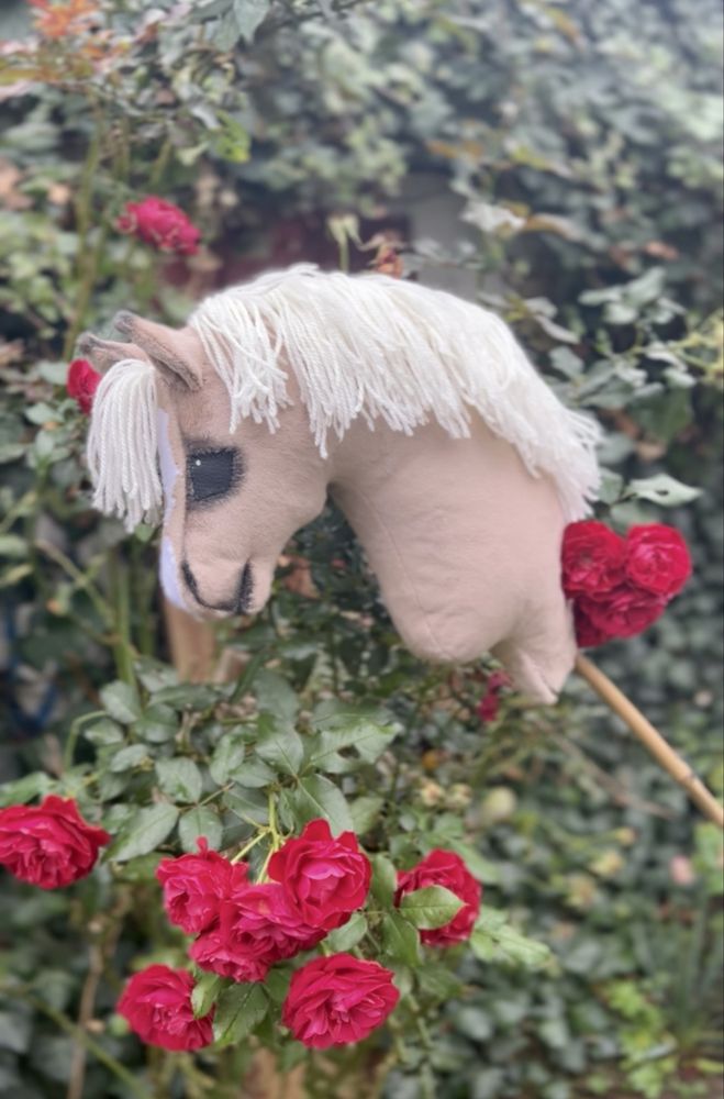 konik hobby horse