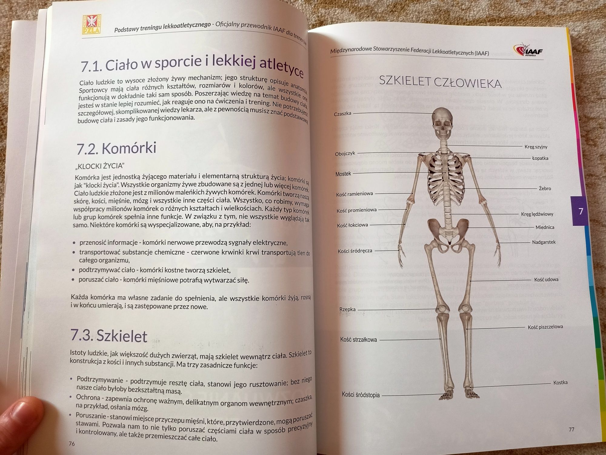 Podstawy treningu lekkoatletycznego - oficjalny przewodnik IAAF