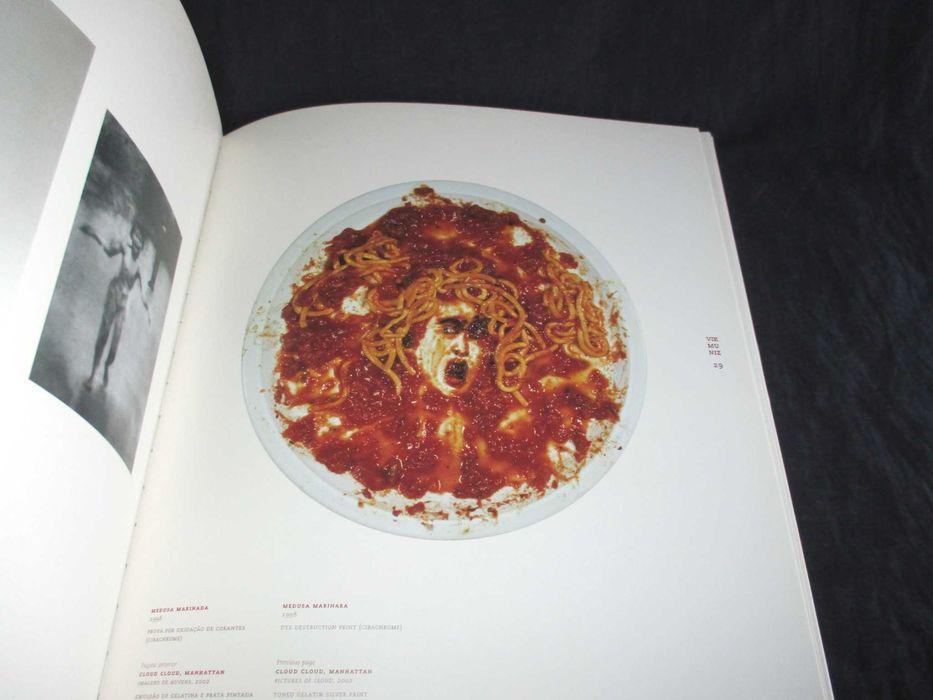 Livro Vik Muniz A Terra e a Gente