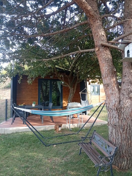 Aluguer quarto / casa