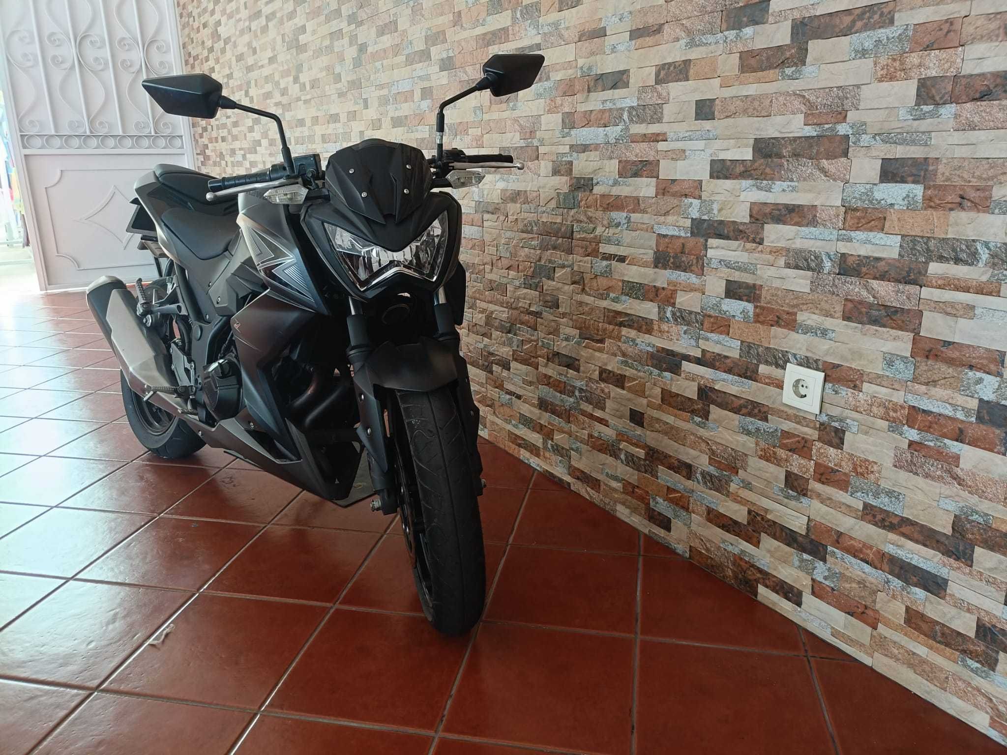 Mota kawasaki Z300