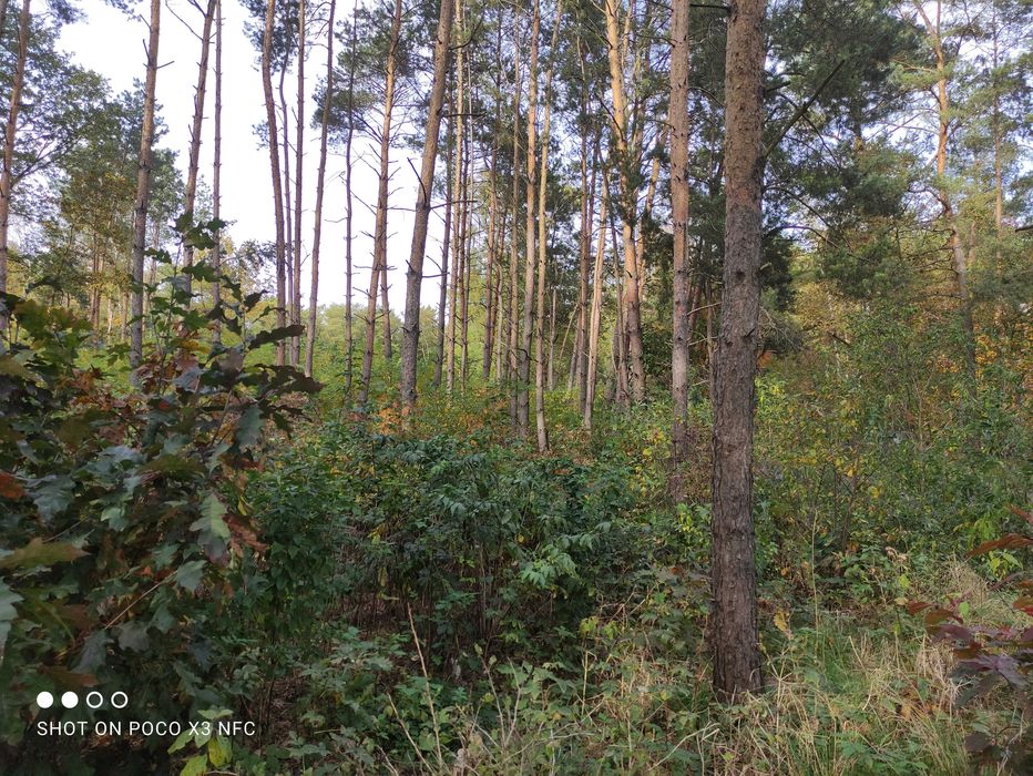 Działka z MPZP, Mariampol, 1100m2, zbiornik wodny Tkaczewska Góra
