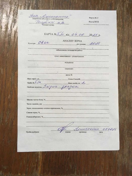 Овес врожай 2025