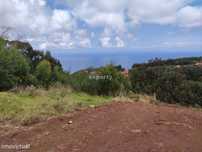 Terreno 1840m2 com capacidade construtiva em Lombada, Santa Cruz