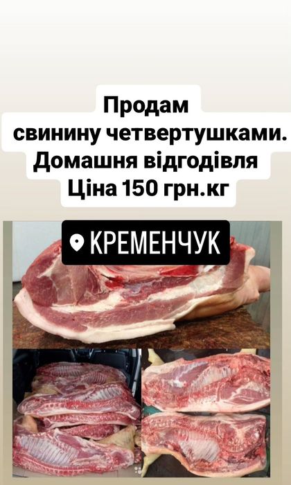 Домашня свинина.