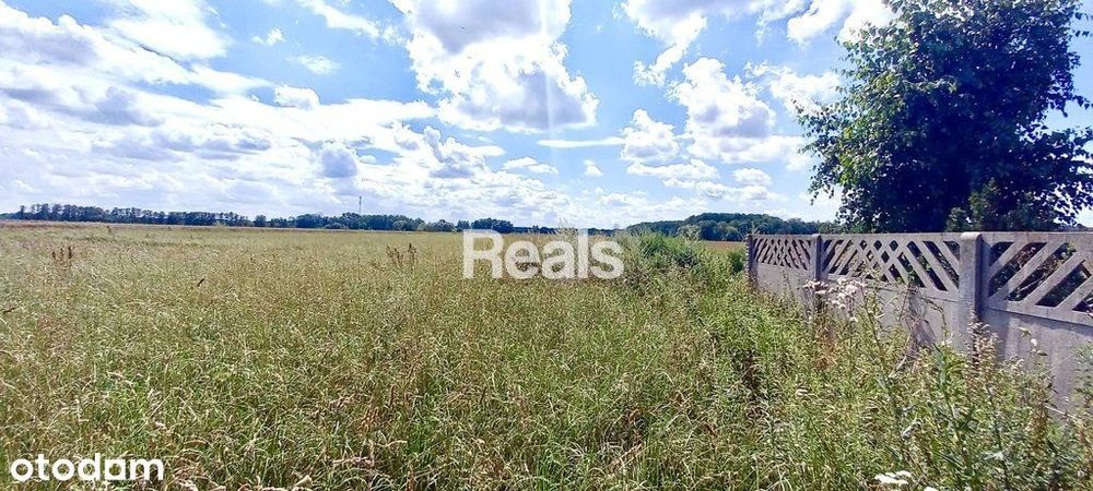 Działka 4149 m2 w gminie Winnica powiat pułtuski.