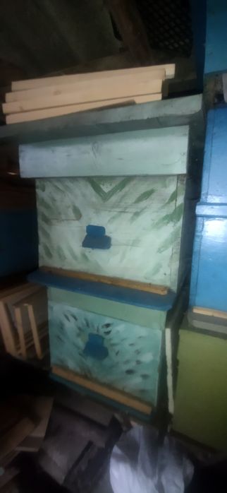 Вулик, пасіка продам