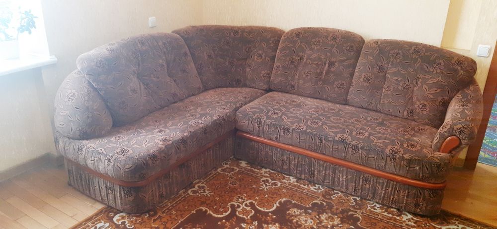Диван дуже зручний, плита газова, духовка, майже новий, без пошкоджен