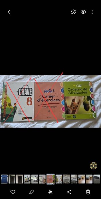 Livros fichas 8° Ano (NOVOS)