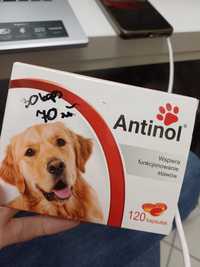 Antinol dla psiaka