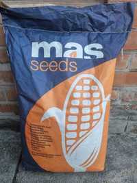 Продам насіння кукурудзи Mas Seeds