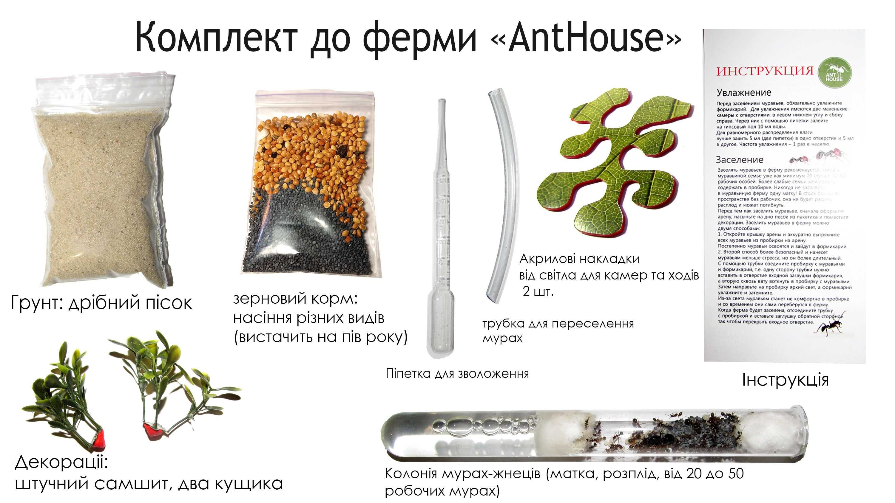 Мурашина ферма (формікарій) AntHouse (зелена) + мурахи-жнеці