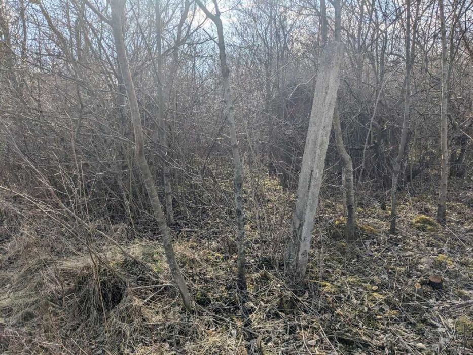 Продаж дачі в с. Тязів, 8 сот СТ Ривега (10)