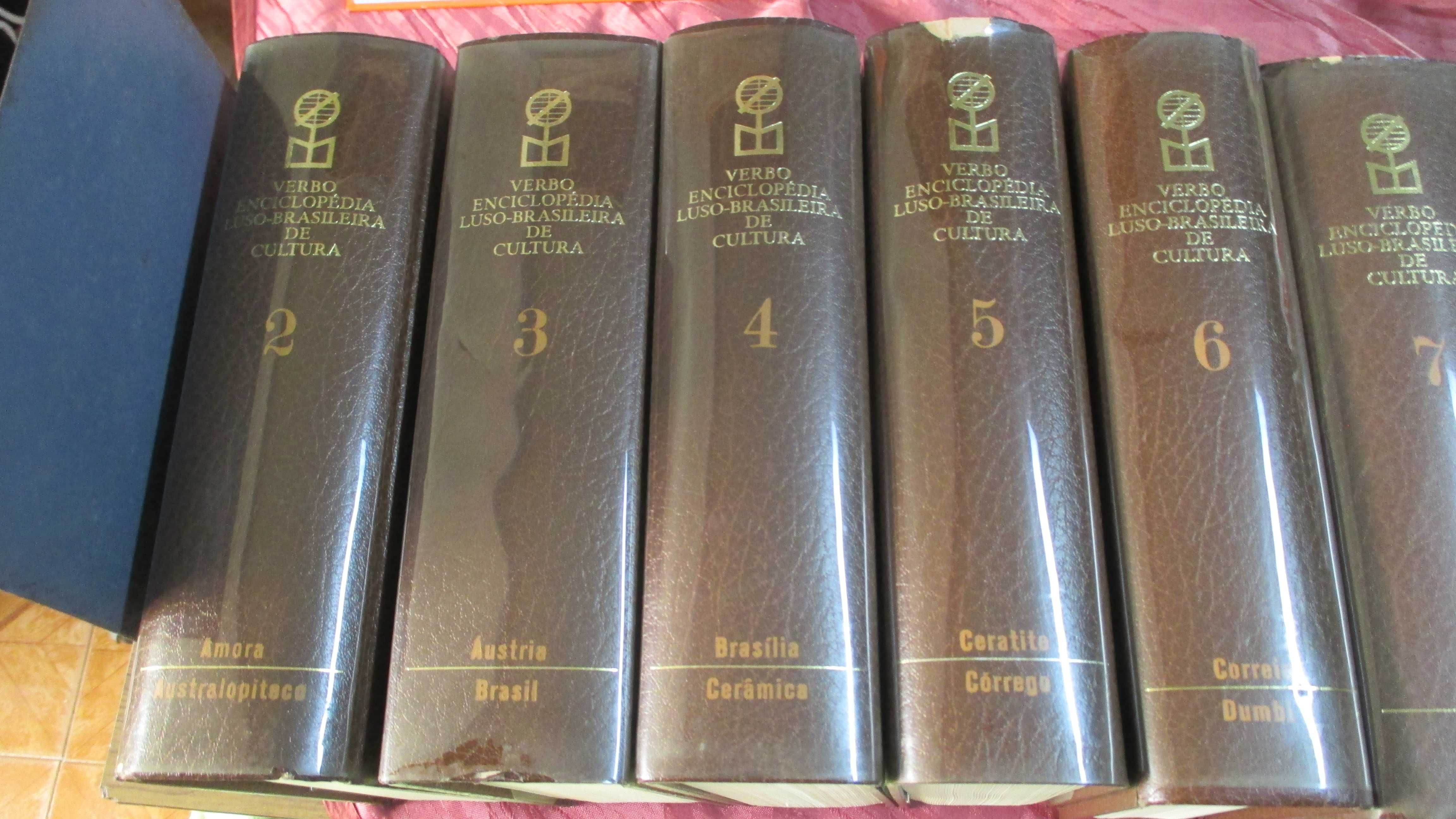 Enciclopedia Lusa Brasileira da Cultura ( 23 Livros )