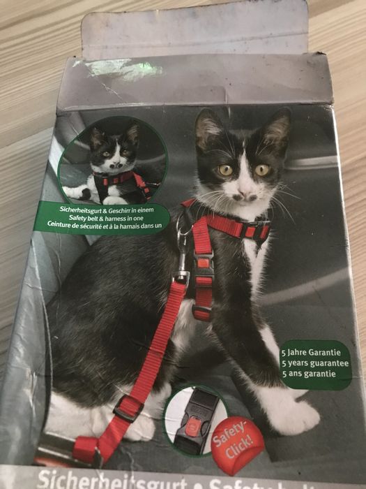 szelki dla kota samochodowe
