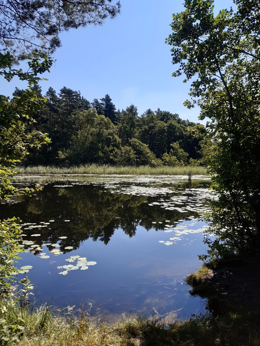 Domek nad morzem z balią jacuzzi na wyłączność