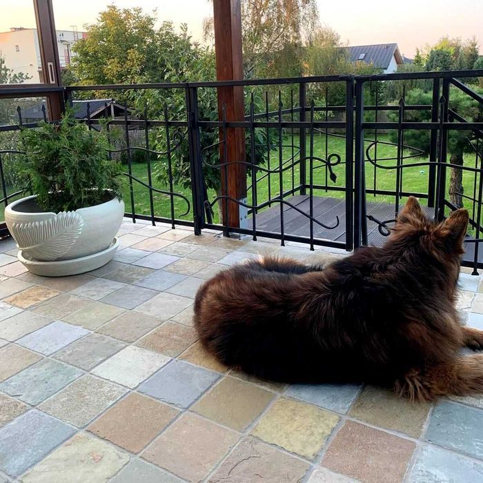 Płytki Wapień French antykowany 20x20x2 cm taras balkon kamień