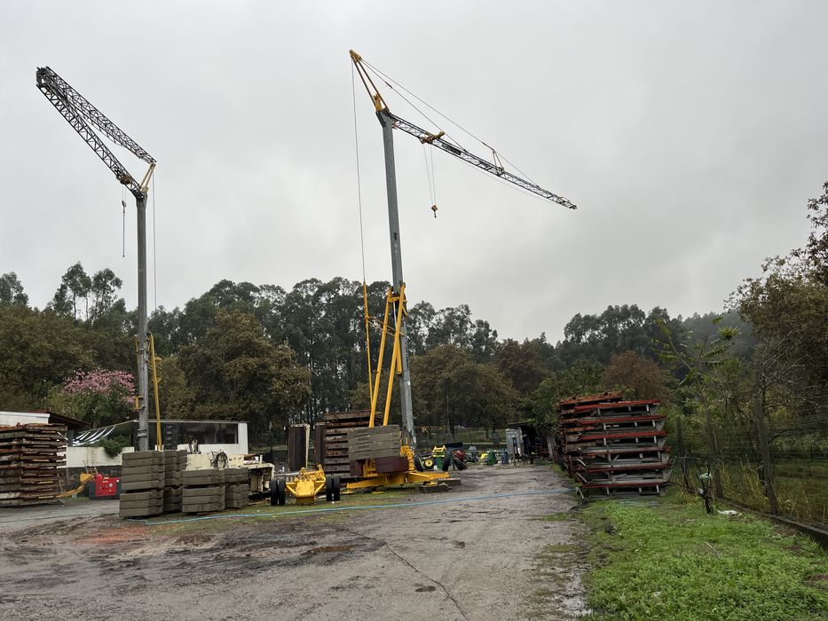 Grua automontante 24mt