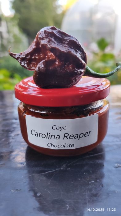 Соус Carolina Reaper концентрат.100мл.