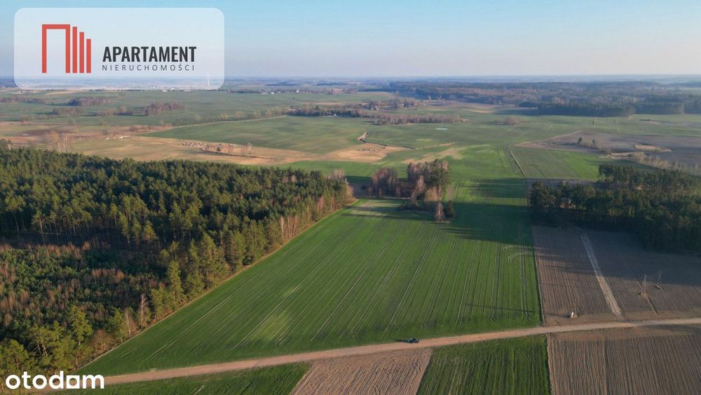 Siedlisko, 5,9 ha, pod inwestycje