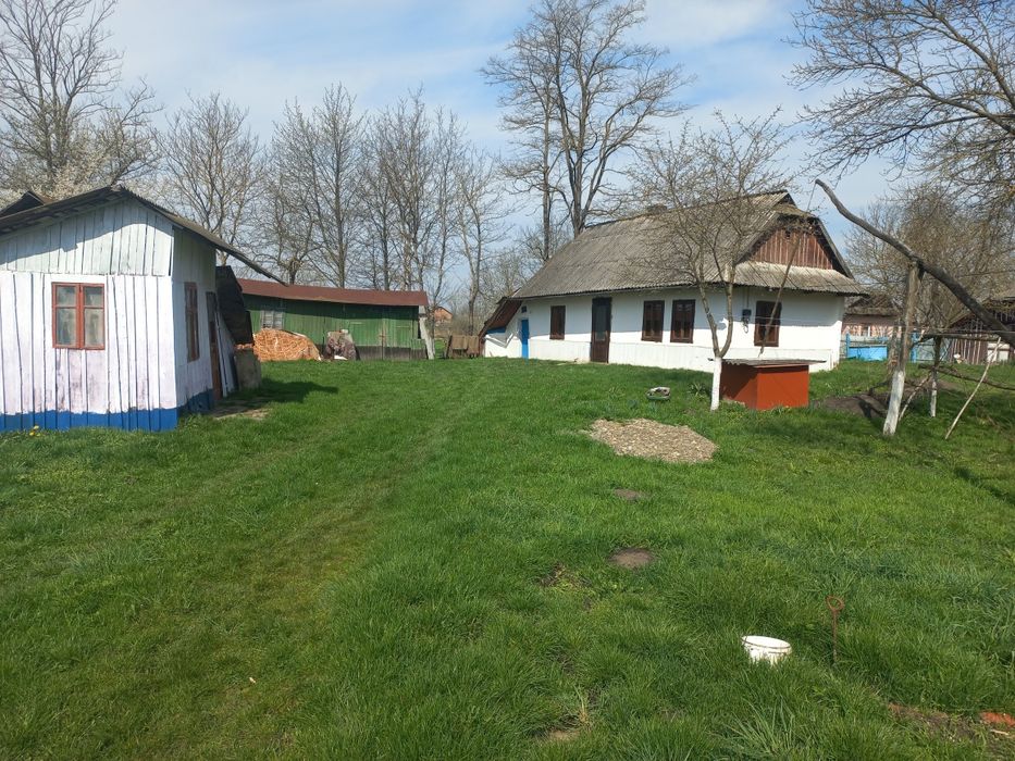 Господарство с. Шипинці.