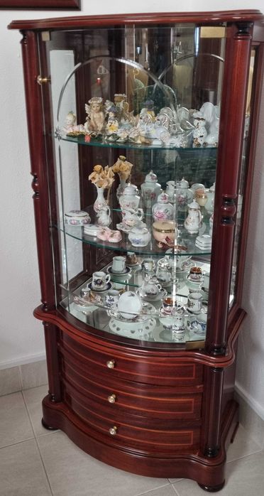 Vendo VITRINE com recheio incluido