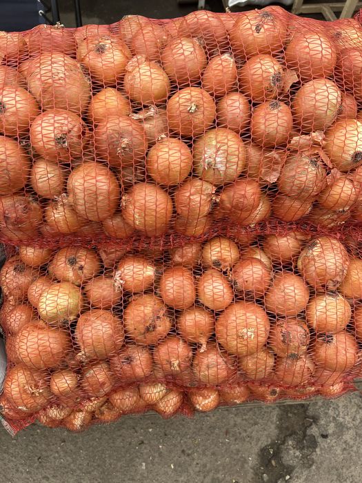 Картошка Лук КАПУСТА (КУБАНКА, БЕЛАРОСА, Королева Анна)