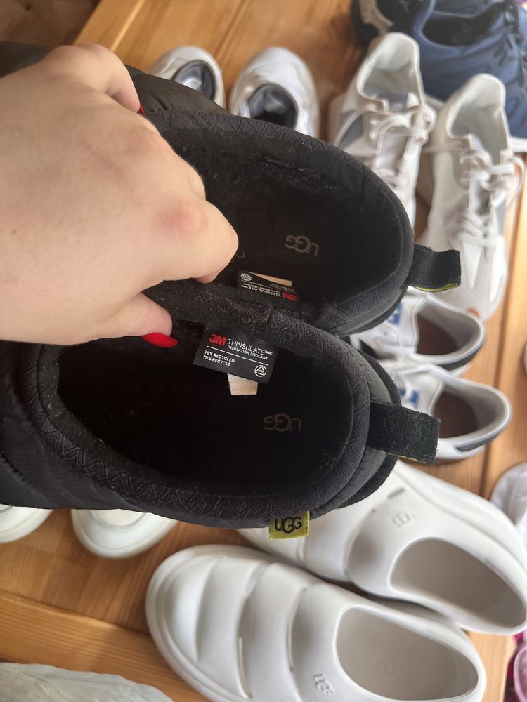 Ugg tasman оригинал