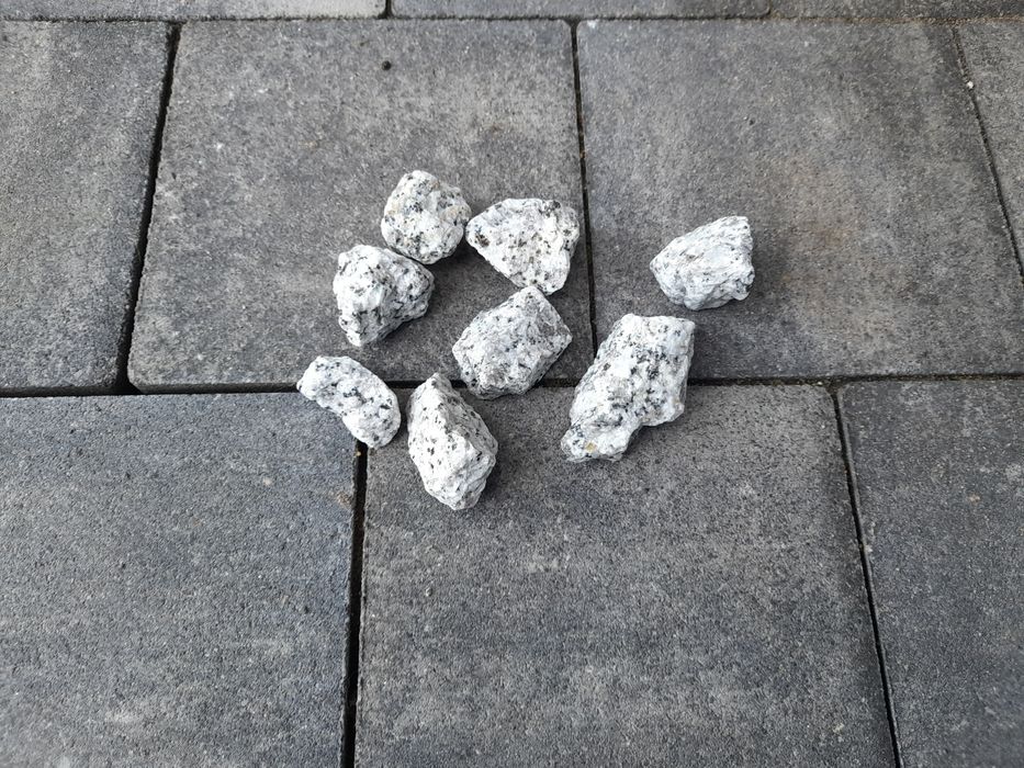 Kamień ozdobny ogrodowy dalmatyńczyk