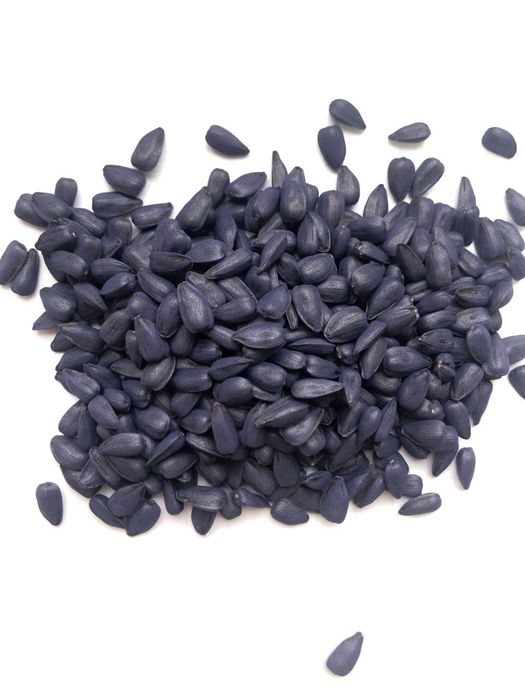 Насіння Соняшника під Гранстар