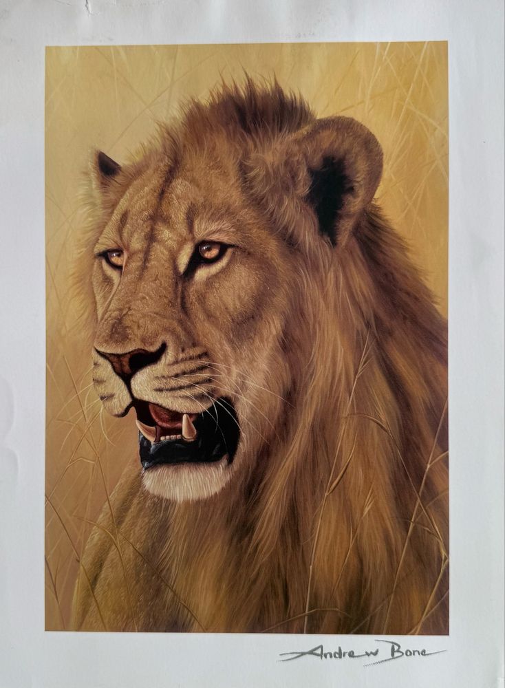 Andrew Bone Young Warrior Lion Seriolithograph with CoA