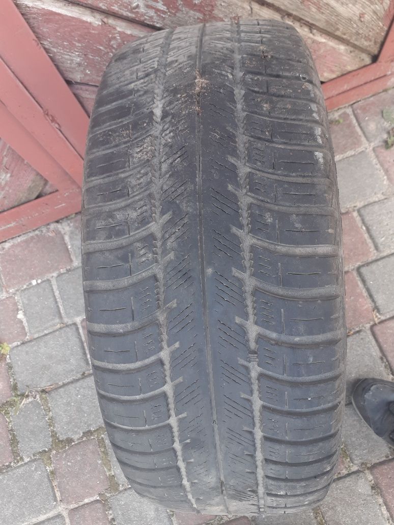 Шини 215/55 R16 M+S