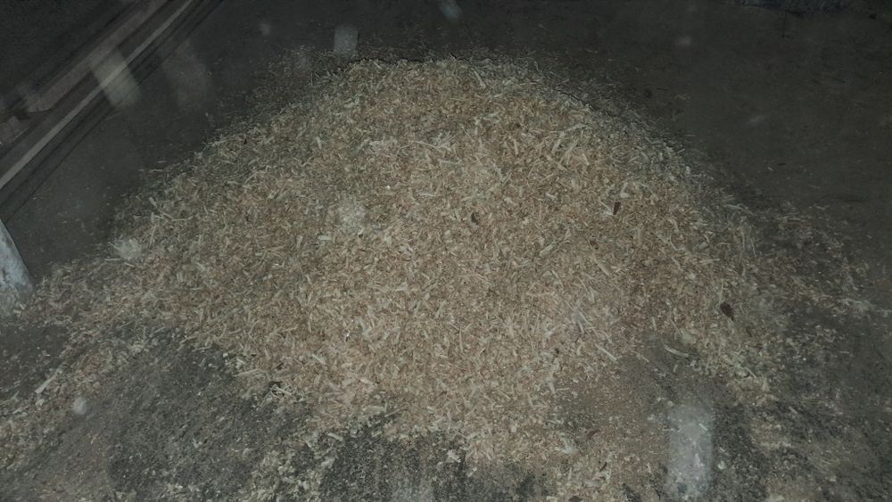 Продам тирсу стружку