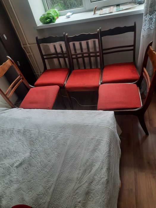 стільці   (5шт.)