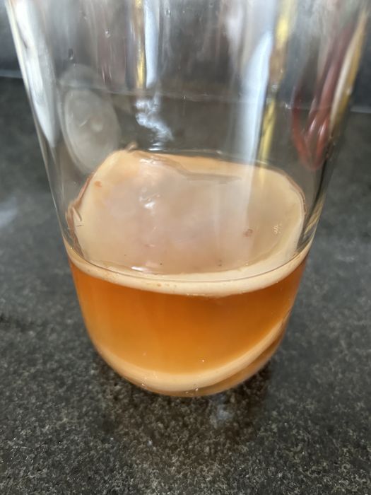 Scooby Kombucha disco