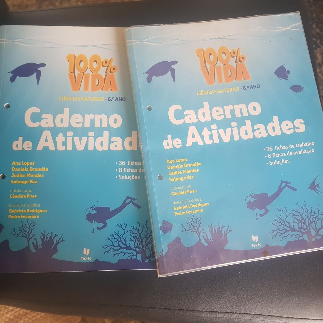 Cadernos de atividades 6o ano