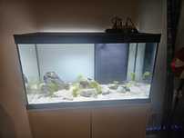 Aquario Aquatlantis Novo