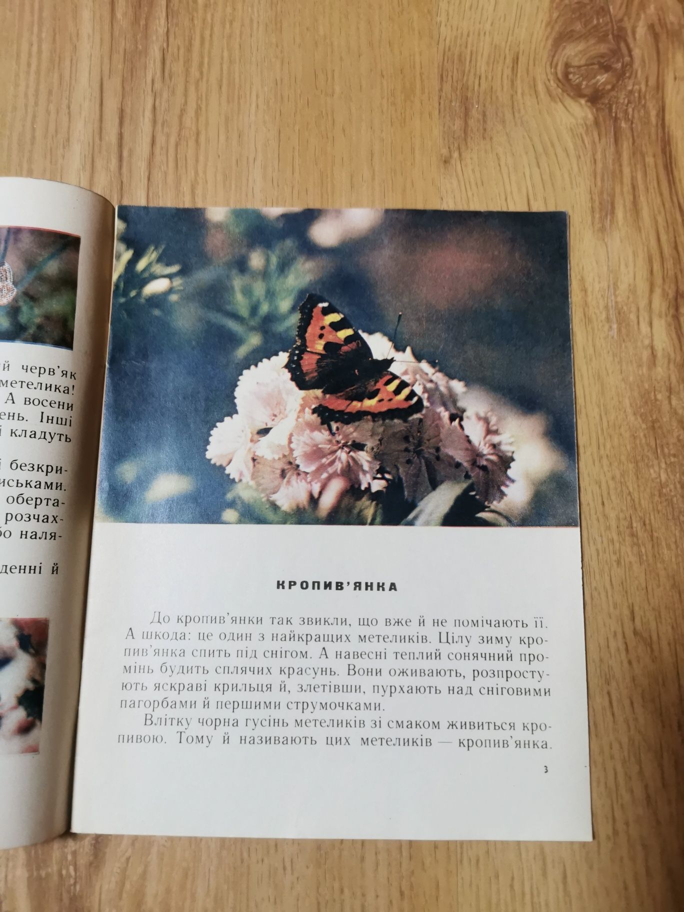 "Барвисті крила". Сладков Микола. Оповідання про метеликів. 1973 рік.
