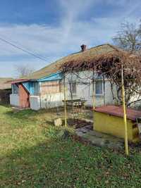 Будинок в селі Свидовець (Чернігівська область)
