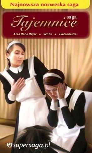 Zimowa Burza Anne Marie Meyer