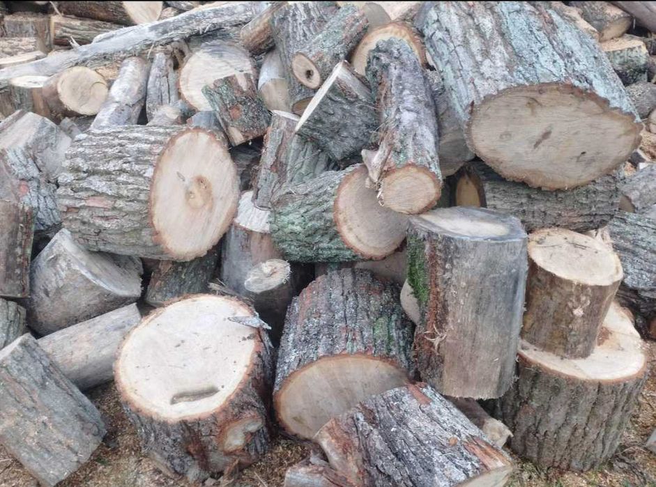 Opał grab dąb brzoza olszyna sosna