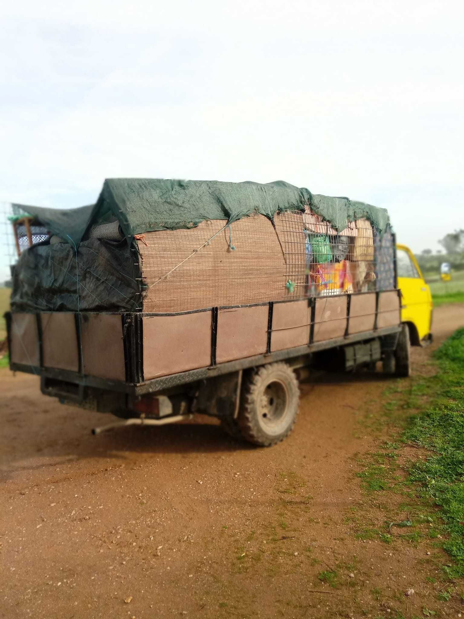 Mudanças/Transportador